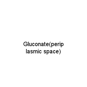 Gluconate(periplasmic space)